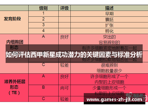 如何评估西甲新星成功潜力的关键因素与标准分析